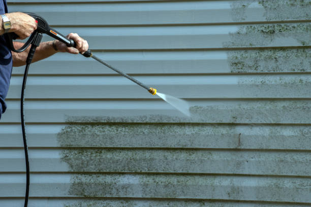 Best Roof Pressure Washing  in Springville, IA
