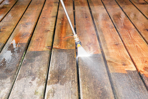 Best Pressure Washing Patio  in Springville, IA