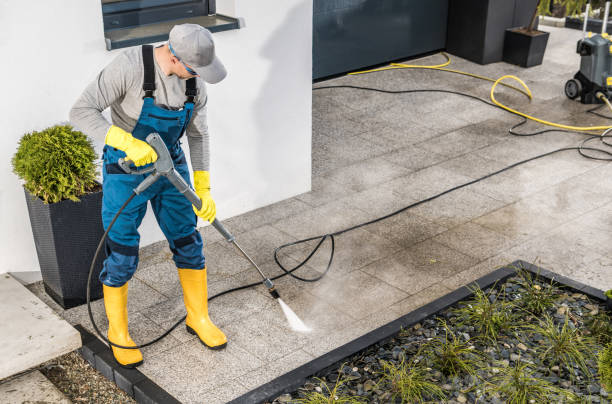 Best Best Pressure Washing Companies  in Springville, IA