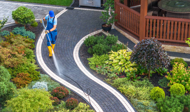 Best Exterior Home Cleaning  in Springville, IA